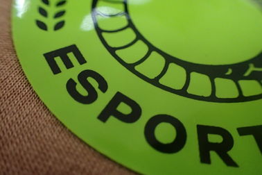 Etiquetas elegantes personalizadas de la transferencia de calor para el tamaño modificado para requisitos particulares ropa