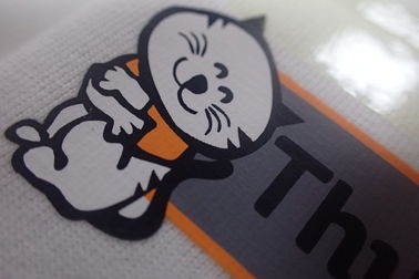 Etiquetas antis de la tela de la transferencia de calor de la sublimación para el hockey shinny del desgaste del trabajo y el logotipo mate