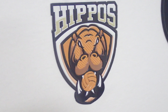 Etiquetas principales grabadas en relieve de alta frecuencia del remiendo de la ropa de Tpu para la ropa de los deportes